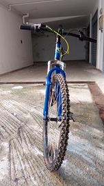 bicicletta