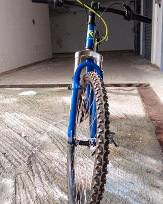 bicicletta