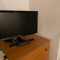 TV Monitor Schermo Samsung TE390 22 pollici