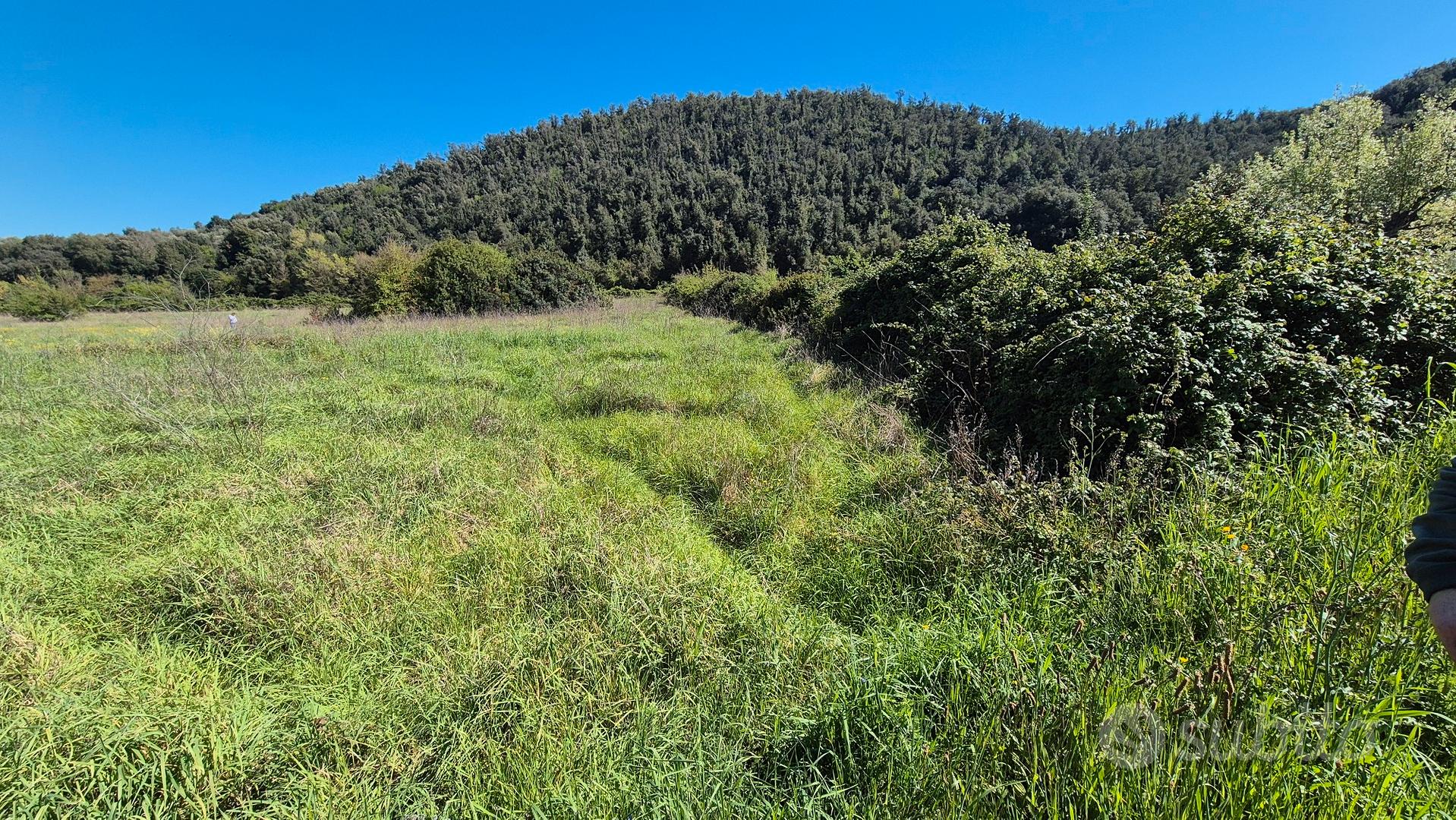 Terreno agricolo - Vista 3