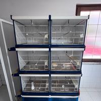 Batteria di gabbie per uccelli ItalGabbie