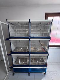 Batteria di gabbie per uccelli ItalGabbie