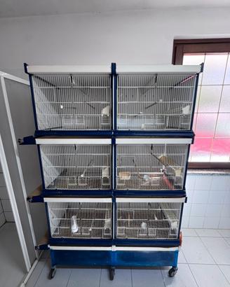 Batteria di gabbie per uccelli ItalGabbie