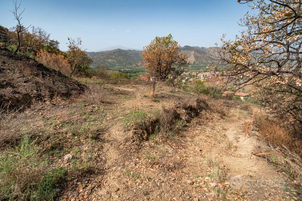 Terreno agricolo - Gaggi