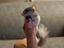 Immagine 2