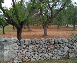 Fondo rustico