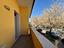 Immagine 25