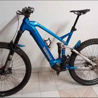 e-bike enduro brinke 