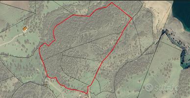 Terreno sul lago Coghinas