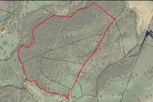 Terreno sul lago Coghinas