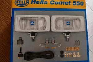 Kit Fari Fendinebbia Alogeni HELLA