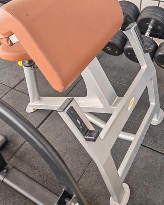 Panca Scott Professionale 