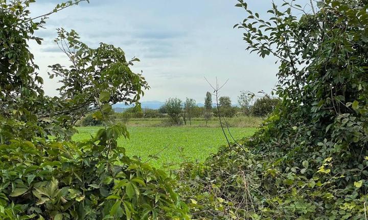 Lotto Edificabile Residenziale ai Novagli - Introv