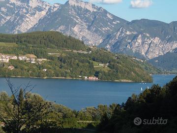 Antica casa in pietra con terreno e bosco