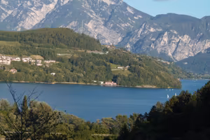 Antica casa in pietra con terreno e bosco