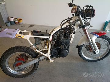 tuareg Wind 600