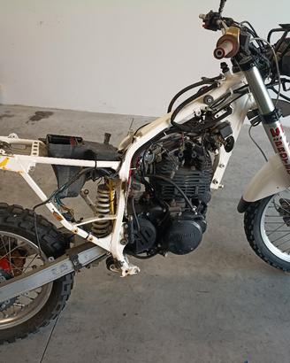 tuareg Wind 600