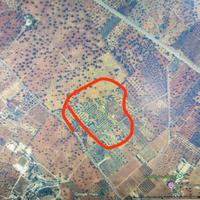 Terreno agricolo con torre di 55 mq accatastata