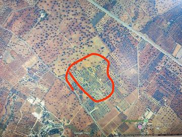 Terreno agricolo con torre di 55 mq accatastata