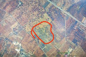 Terreno agricolo con torre di 55 mq accatastata