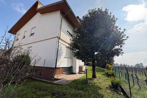 Appartamento - Cormons - Brazzano