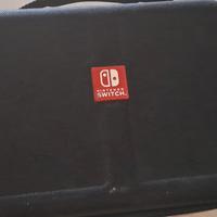 Valigetta nintendo switch 