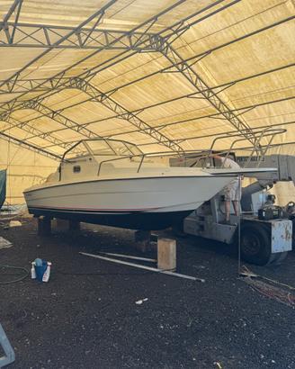 Zaniboni F235