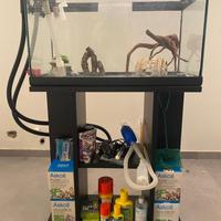 Acquario 40 litri + filtro askoll 100