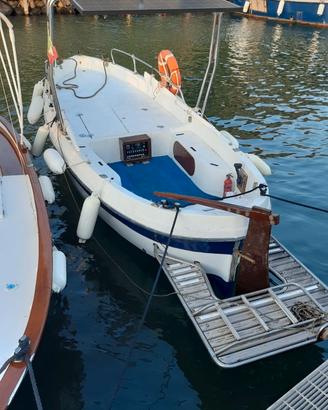 Barca con motore entrobordo in vetroresina