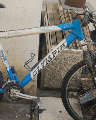 biciclette Mountain bike 
