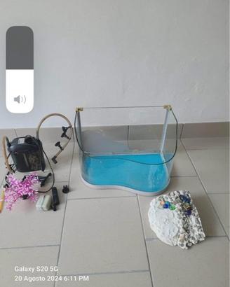 Kit completo per tartarughina d’aqua