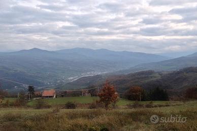 Terreni e case al rustico