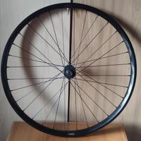 RUOTA anteriore GIANT AM 27.5+ MTB