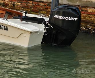 Mercury F40 ELPT (2011) – 750h – Già tagliandato e