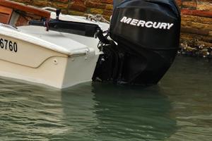 Mercury F40 ELPT (2011) – 750h – Già tagliandato e
