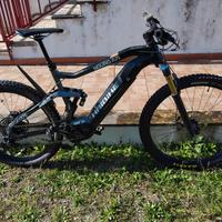 Ebike