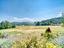 Immagine 10