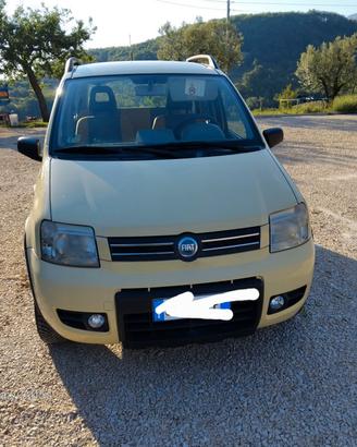   panda 4x4  a benzina 