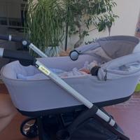 Trio inglesina eletta