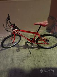 Bicicletta