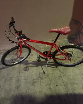 Bicicletta