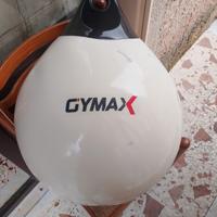 sacco da boxe ad acqua professionale 