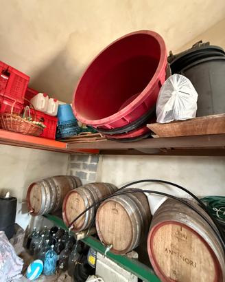 Mastelloni vinaccia vasche mosto