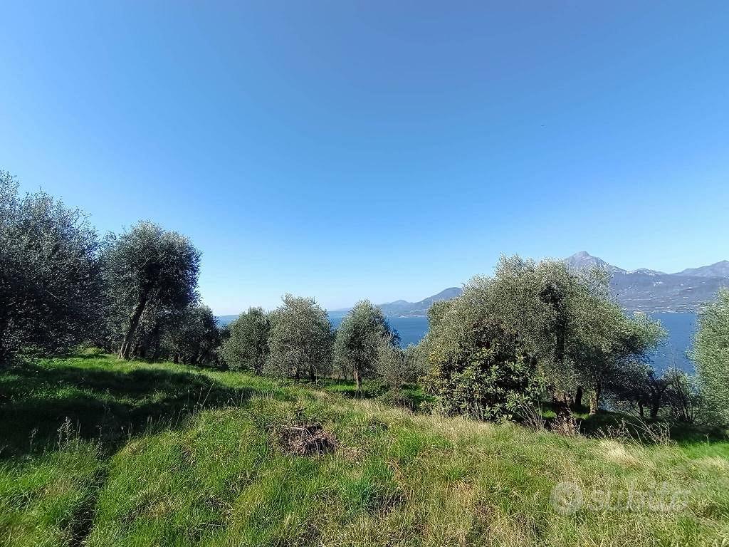 Terreno di 3627 m² a Torri del Benaco - Vista 2