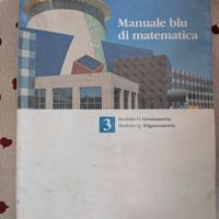 Libro manuale blu di matematica