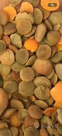Mangimi e alimenti per animali