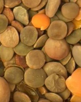 Mangimi e alimenti per animali