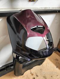 scudo Aprilia rally 50 aria 