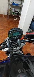 Yamaha fz6 s1 del 2004 naked