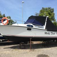 Tuccoli moby dick T24